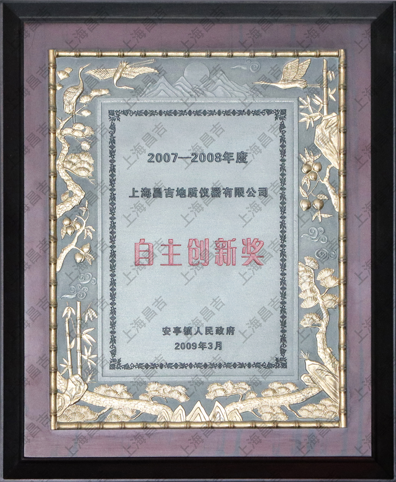 自主創(chuàng)新獎(jiǎng)