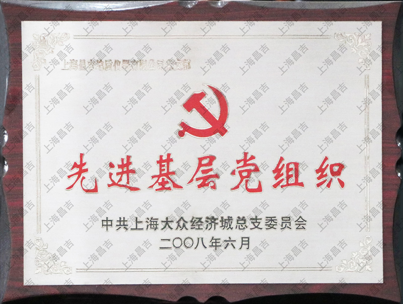 先進(jìn)基層黨支部